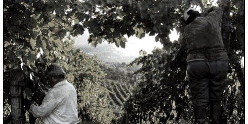 CAMPAGNA