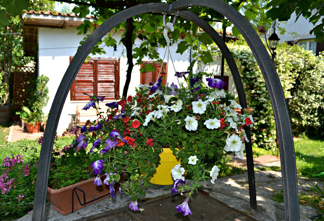 Anita Bed and Breakfast