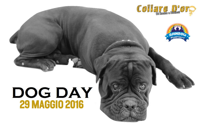 dog-day-rainbow-magicland
