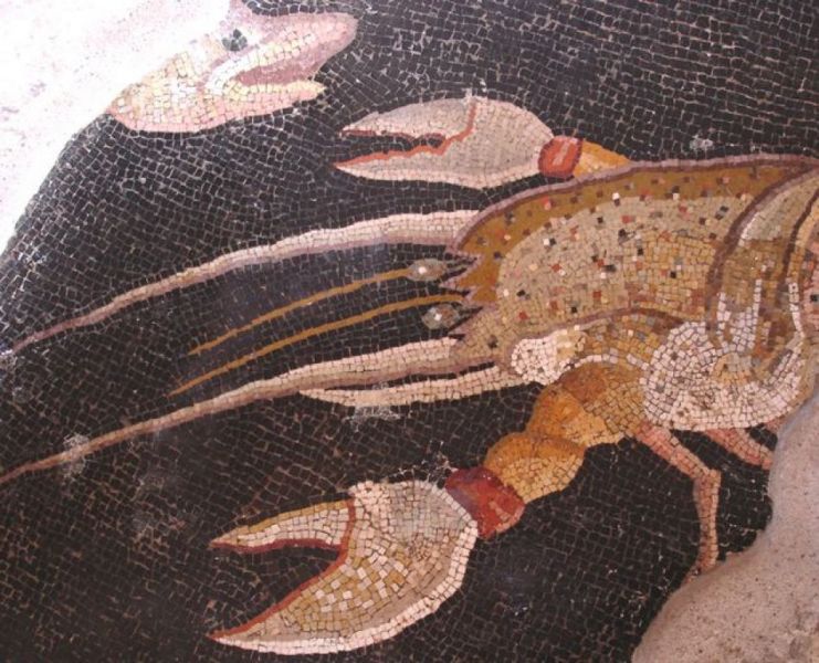 Il Mosaico dei Pesci a Palestrina