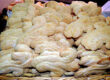 festival-del-giglietto-di-palestrina
