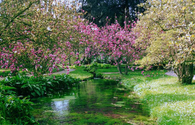 giardini-di-ninfa-scorcio