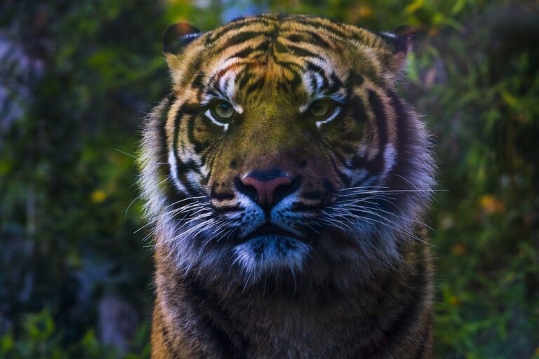 bioparco