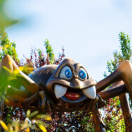 PING-RAGNO-MAGICLAND PING-RAGNO-MAGICLAND