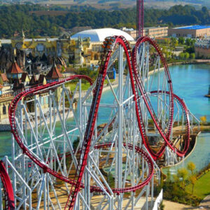 shock-magicland shock-magicland